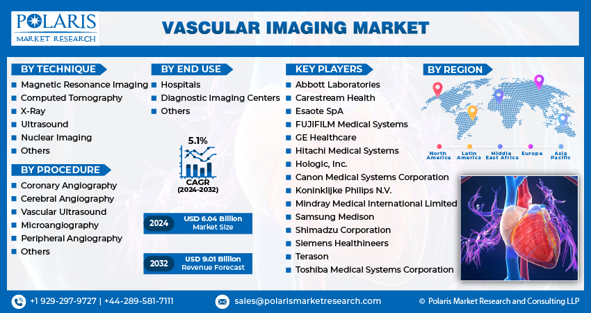 Vascular Imaging Market Info